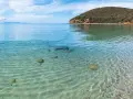Piękne livorno plaże z krystalicznie czystą wodą i piaszczystym dnem. W oddali widać żaglówkę i zielone wzgórza.