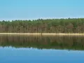 Jezioro Niepruszewskie: raj dla wędkarzy i miłośników przyrody