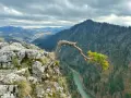 Skalisty brzeg z wygiętym drzewem i widokiem na zieloną rzekę i zalesione **pieniny szczyty** pod pochmurnym niebem.
