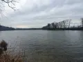 Jezioro Lubieńskie: piękne miejsce na relaks i wędkowanie w naturze