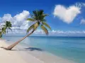 Rajska plaża z palmami, idealne miejsce, gdzie w styczniu na wakacje. Błękitne morze i serce na niebie.