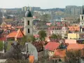 Zielona Góra ile mieszkańców? Zaskakujące fakty o demografii miasta