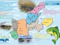 Mapa prezentująca gminy i gospodarstwa rybackie w regionie nadkaspijskim.