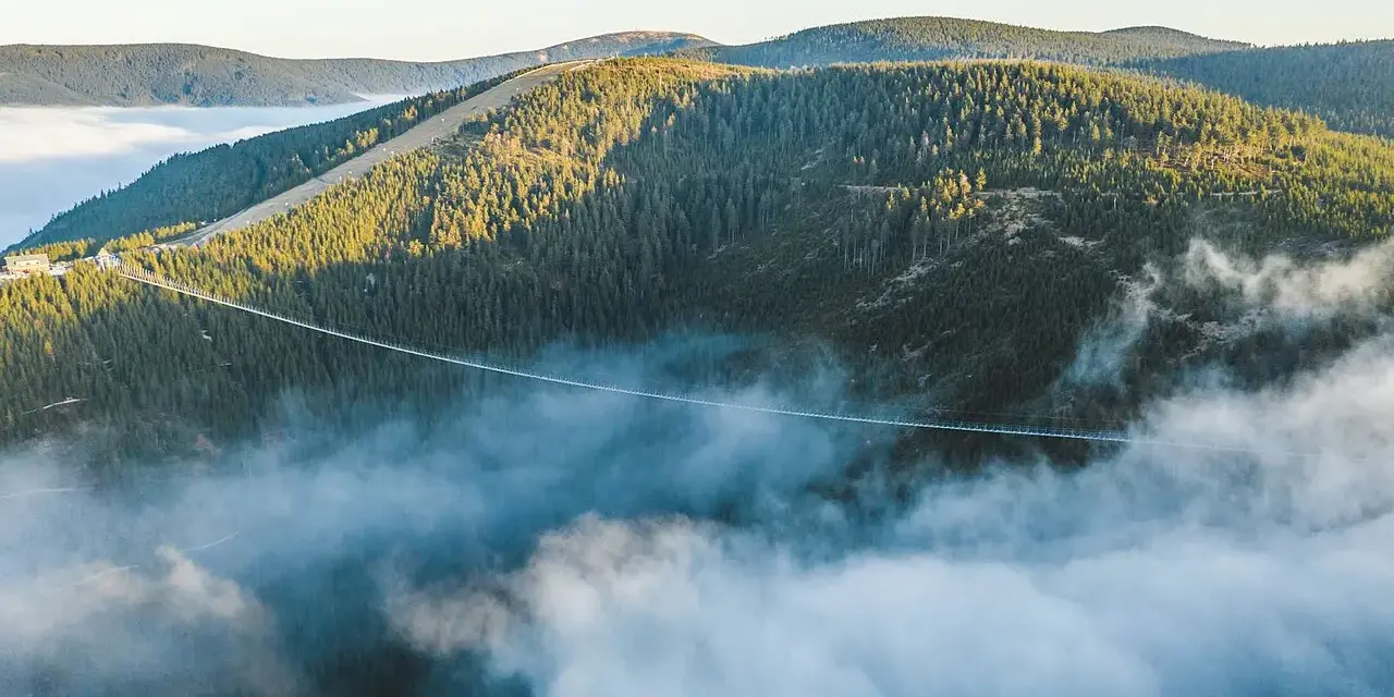 Wiszący most, najdłuższy most w Czechach, przecina gęsty las, unosząc się nad morzem mgły.