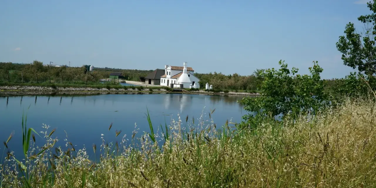 Biały dom z czerwonym dachem nad spokojnym pad rzeka, otoczony zielenią i wysoką trawą.