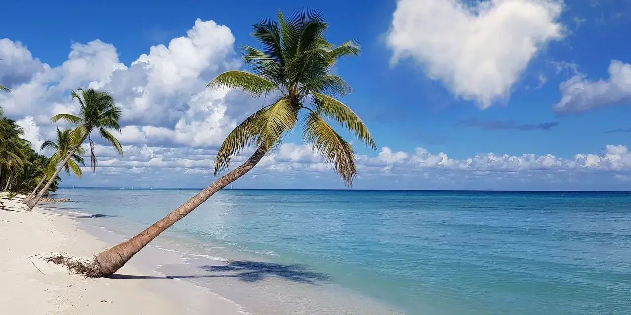 Rajska plaża z palmami, idealne miejsce, gdzie w styczniu na wakacje. Błękitne morze i serce na niebie.