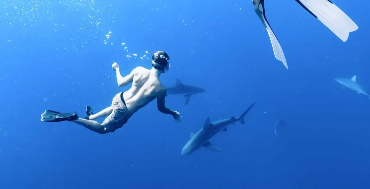 Czy na Wyspach Kanaryjskich są rekiny? Rzadkie ataki i bezpieczeństwo w wodzie