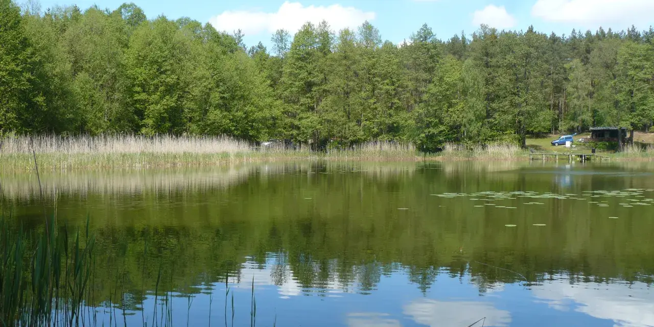 Spokojne jezioro z odbijającymi się chmurami i lasem, widoczna wędka i trzciny.