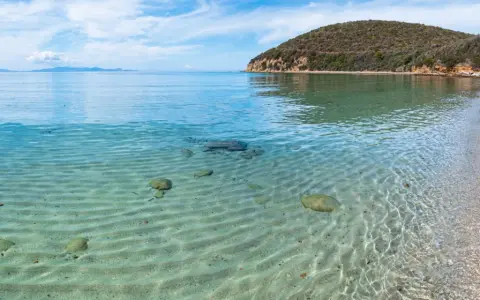 Piękne livorno plaże z krystalicznie czystą wodą i piaszczystym dnem. W oddali widać żaglówkę i zielone wzgórza.