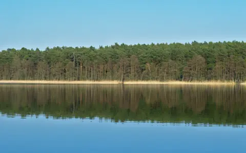 Jezioro Niepruszewskie: raj dla wędkarzy i miłośników przyrody