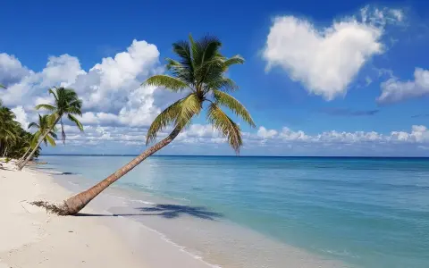 Rajska plaża z palmami, idealne miejsce, gdzie w styczniu na wakacje. Błękitne morze i serce na niebie.