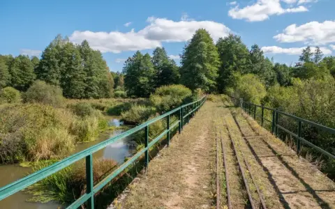 Most starych torów kolejowych nad rzeką w Białowieskim Parku Narodowym. Ciekawostki przyrodnicze i historyczne tego miejsca zachwycają.