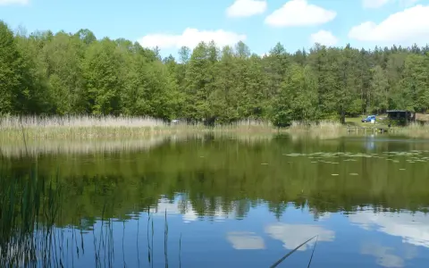 Spokojne jezioro z odbijającymi się chmurami i lasem, widoczna wędka i trzciny.