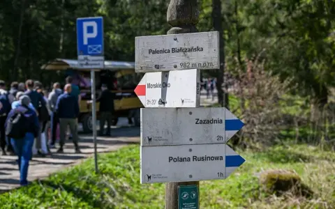 Drewniany drogowskaz w górach z nazwami szlaków: Palenica Białczańska, Morskie Oko, Zazadnia, Polana Rusinowa.