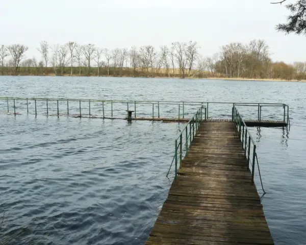 Jezioro w Lusowie: Idealne miejsce na relaks i przygodę w naturze