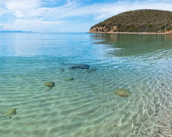 Piękne livorno plaże z krystalicznie czystą wodą i piaszczystym dnem. W oddali widać żaglówkę i zielone wzgórza.