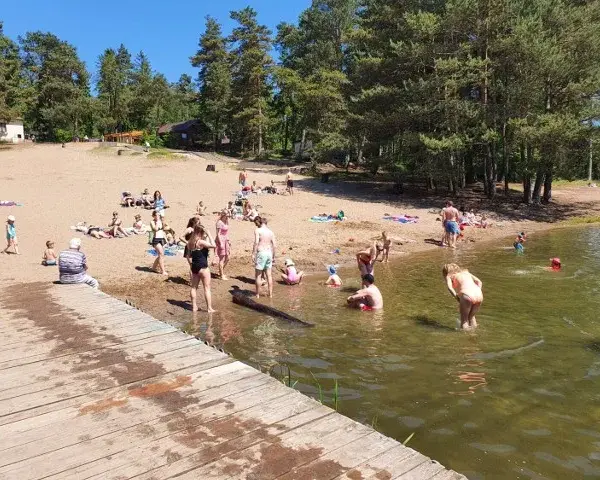 Jezioro Borówno Wielkie - idealne miejsce na relaks i wędkowanie