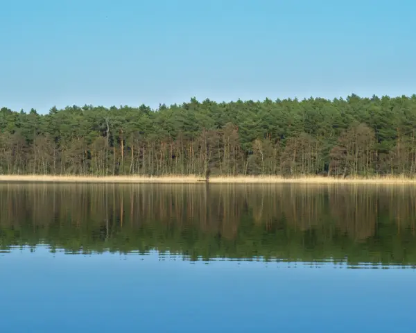 Jezioro Niepruszewskie: raj dla wędkarzy i miłośników przyrody
