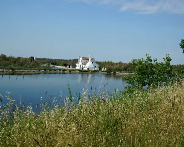 Biały dom z czerwonym dachem nad spokojnym pad rzeka, otoczony zielenią i wysoką trawą.
