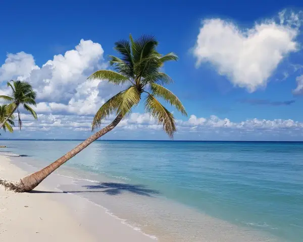 Rajska plaża z palmami, idealne miejsce, gdzie w styczniu na wakacje. Błękitne morze i serce na niebie.