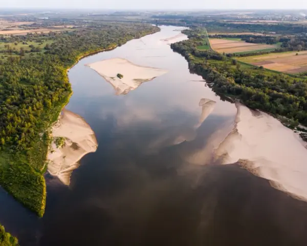 Szeroka Wisła, najdłuższa rzeka w Polsce, meandruje wśród zielonych lasów i piaszczystych łach.