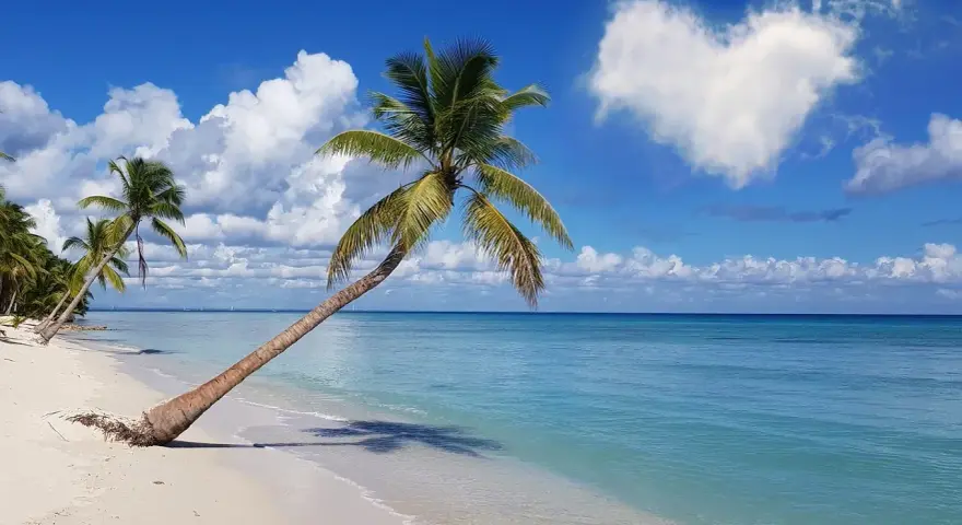 Rajska plaża z palmami, idealne miejsce, gdzie w styczniu na wakacje. Błękitne morze i serce na niebie.
