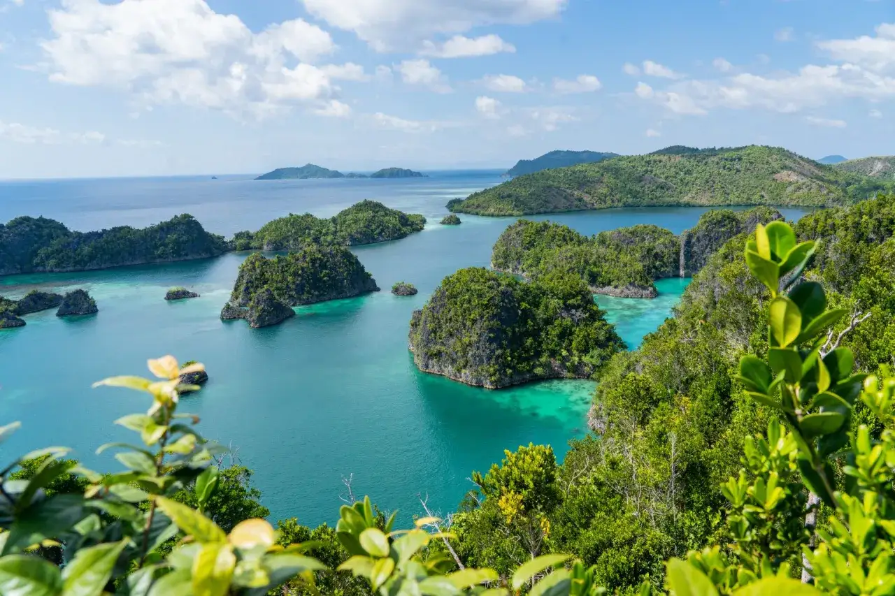 Rajskie krajobrazy Raja Ampat: turkusowe wody, bujna zieleń i skaliste wysepki tworzą idylliczny widok.