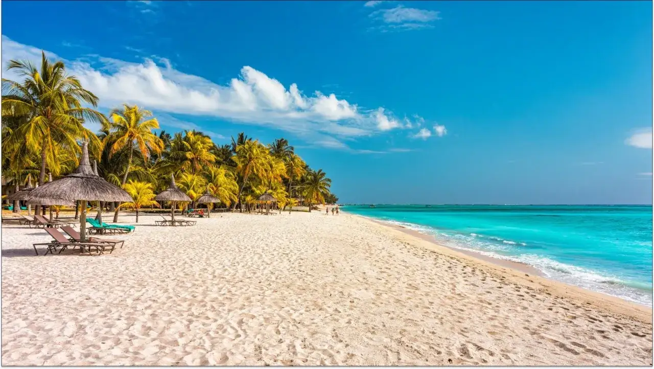 Rajska plaża z palmami i turkusową wodą. Idealne miejsce na wakacje, kiedy jechać na Mauritius? Od maja do grudnia.