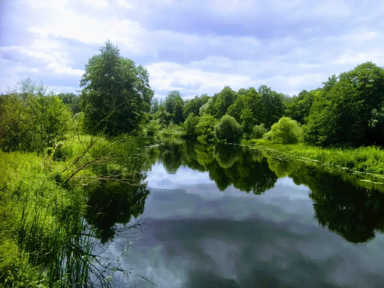 Spokojne miasto nad Świdrem, otoczone bujną zielenią drzew i traw, odbija się w gładkiej tafli rzeki.