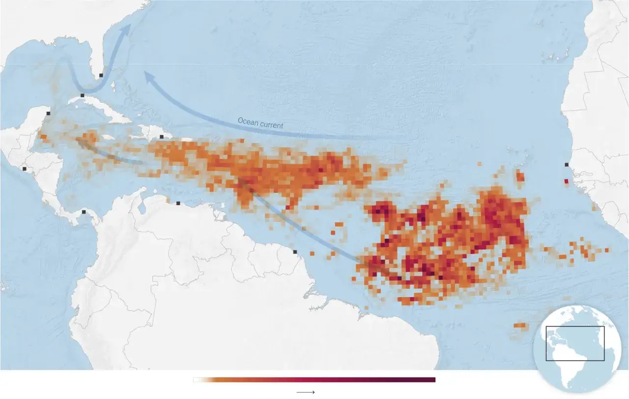 Mapa przedstawia rozprzestrzenianie się sargassum na Atlantyku, z widocznymi prądami oceanicznymi.
