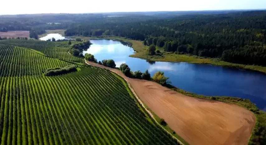 Zdjęcie Jezioro Rokickie: Cudowne miejsce na relaks i wędkarstwo w naturze